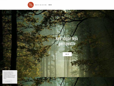 saraflume.se snapshot