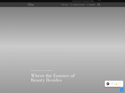 elysiumesthetics.com snapshot