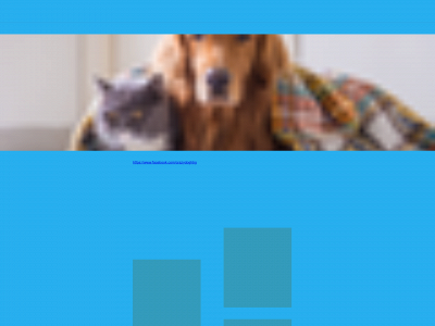 crazydoghbg.se snapshot
