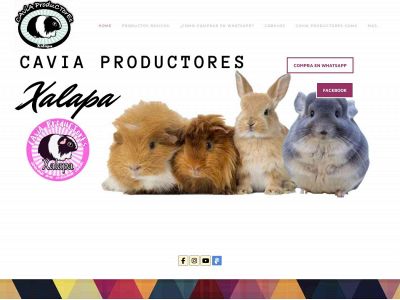 caviaproductores-xalapa.weebly.com snapshot