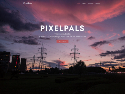 pixelpals.nu snapshot