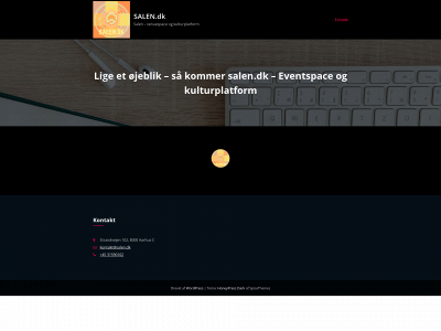 salen.dk snapshot