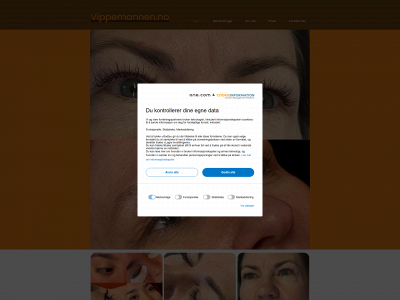 vippemannen.no snapshot