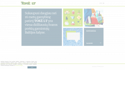 toke.lt snapshot