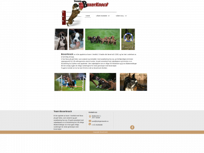 boxerknock.com snapshot