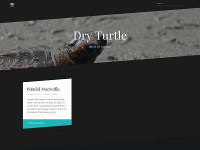 dryturtle.com snapshot