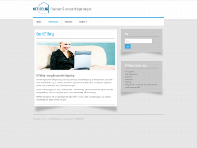 netibolig.dk snapshot