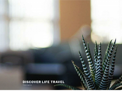 discoverlifetravel.com snapshot