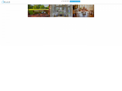 bluehomeimprovement.com snapshot
