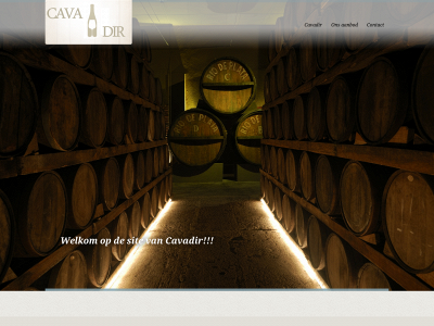 cavadir.be snapshot