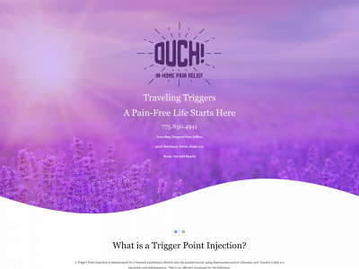 travelingtriggers.com snapshot