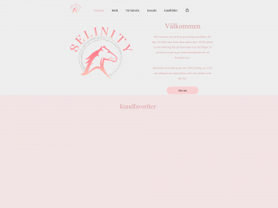 selinity.se snapshot