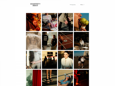 dominiquebrion.com snapshot