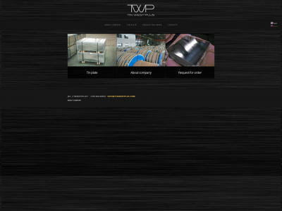 tinwestplus.com snapshot