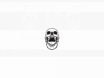 skullshop.online snapshot