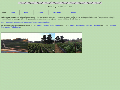ambystomafarm.com snapshot