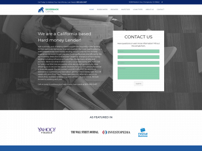 www.silverback-capital.com snapshot