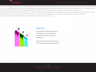 briljant-maleri.se snapshot