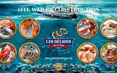 lesdelicesdelamer.be snapshot