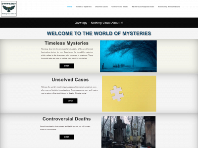 owwlogy.com snapshot