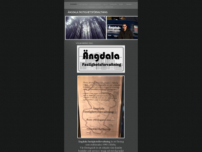angdala.se snapshot