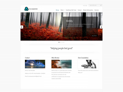 tocaacupuncture.com snapshot