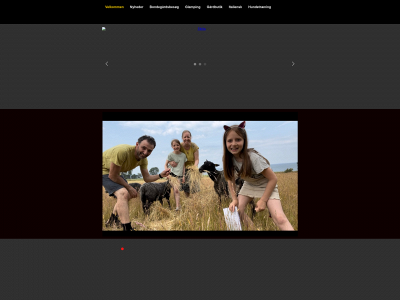 casaghiorsi.dk snapshot