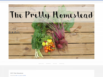 theprettyhomestead.com snapshot