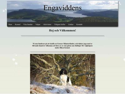 engaviddens.se snapshot