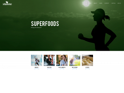 www.vitaminaltd.com snapshot