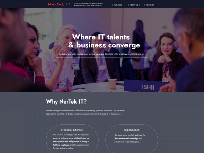 nertekit.com snapshot