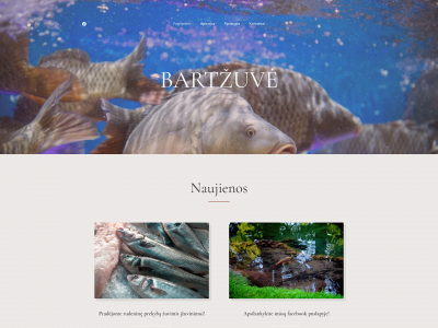 bartzuve.lt snapshot