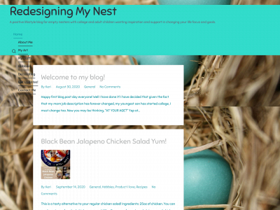 redesigningmynest.com snapshot