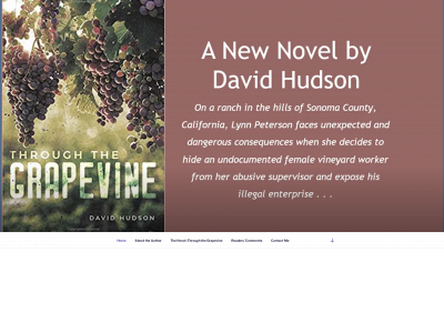 davidhudsonauthor.com snapshot