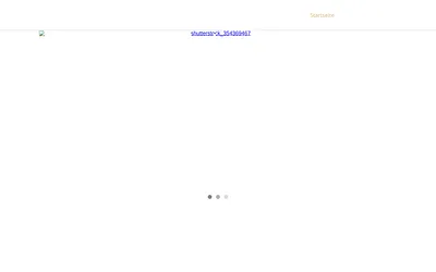 schweisstechnik-minor.de snapshot