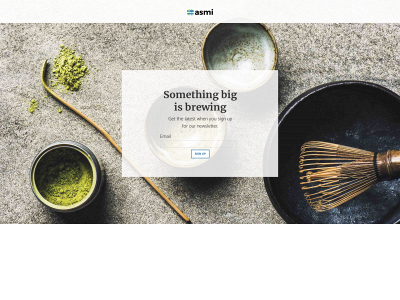 www.asmi.cc snapshot