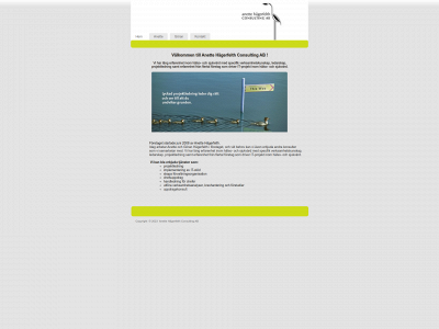 hagerfelthconsulting.se snapshot