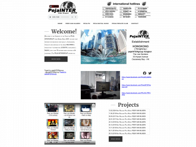 pejaintergroup.com snapshot