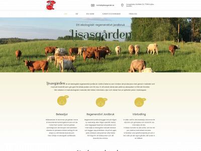 lisasgarden.se snapshot