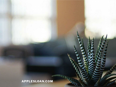 applesloan.com snapshot
