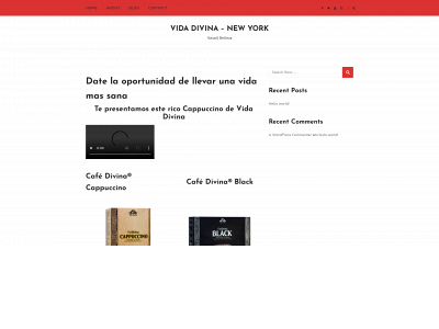 vidadivinany.club snapshot