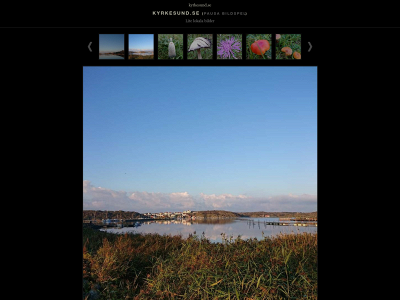 kyrkesund.se snapshot