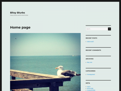bitsyblurbs.com snapshot
