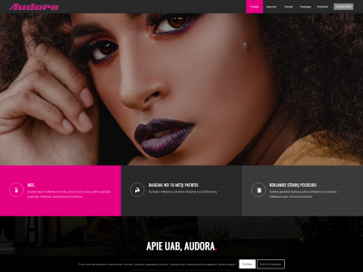 audora.lt snapshot