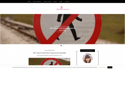 thewittylawyer.com snapshot