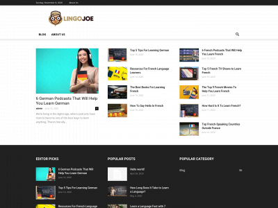 lingojoe.com snapshot