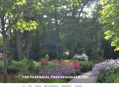 perennialprofessionals.com snapshot