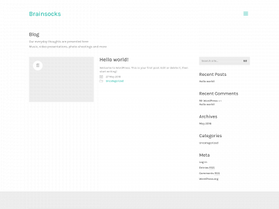 brainsocks.com snapshot