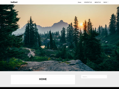 badhani.com snapshot