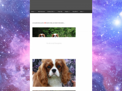 vimsegaarden.com snapshot